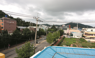 구)목포 농산물 면화 재배지 목포시청 주변 (2011년)