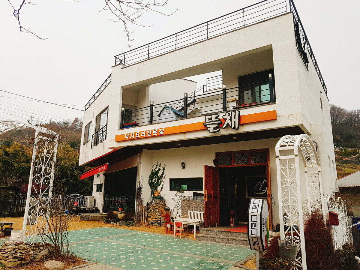 뜰채